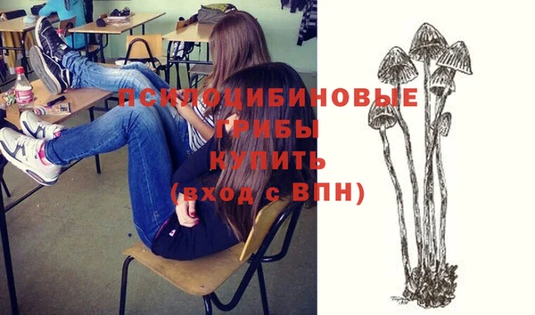 скорость Баксан