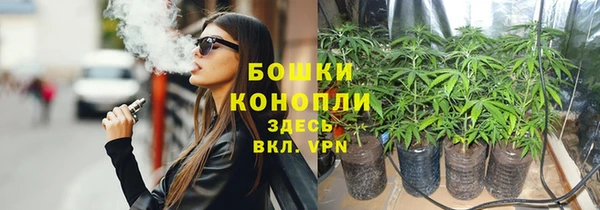 гашик Балахна