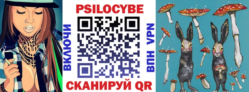 Галлюциногенные грибы мицелий  наркошоп  Курганинск 